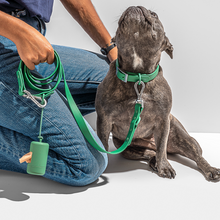 Load image into Gallery viewer, WILD ONE Dog Poop Bag Carrier - Spruce
