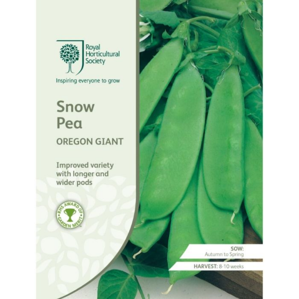 ROYAL HORTICULTURAL SOCIETY Seeds - Snow Pea Oregon Giant