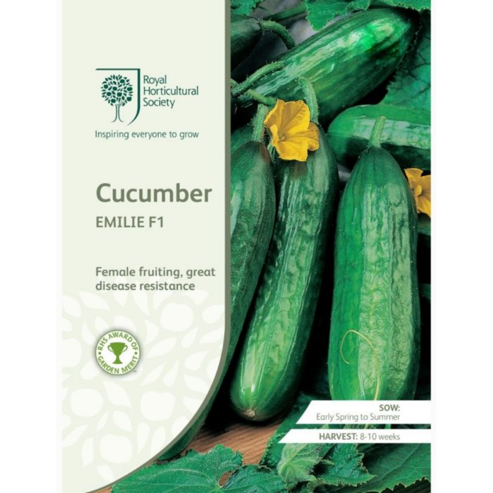 ROYAL HORTICULTURAL SOCIETY Seeds - Cucumber Emilie F1
