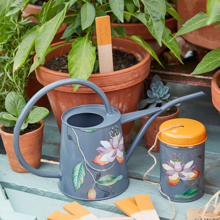 BURGON & BALL | Passiflora Indoor Watering Can in use
