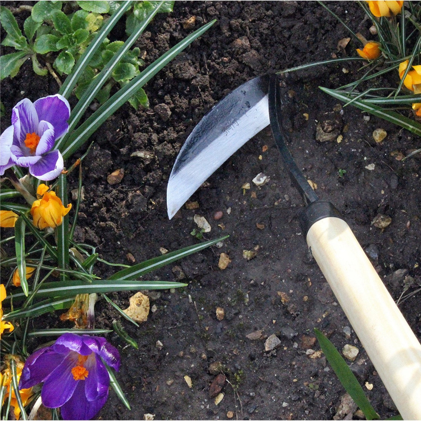 Load image into Gallery viewer, BURGON & BALL Long Handled Gardening Razor Hoe