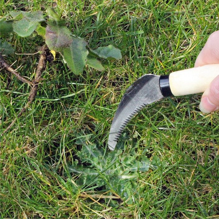 BURGON & BALL  |  Lawn Weeding Knife in use