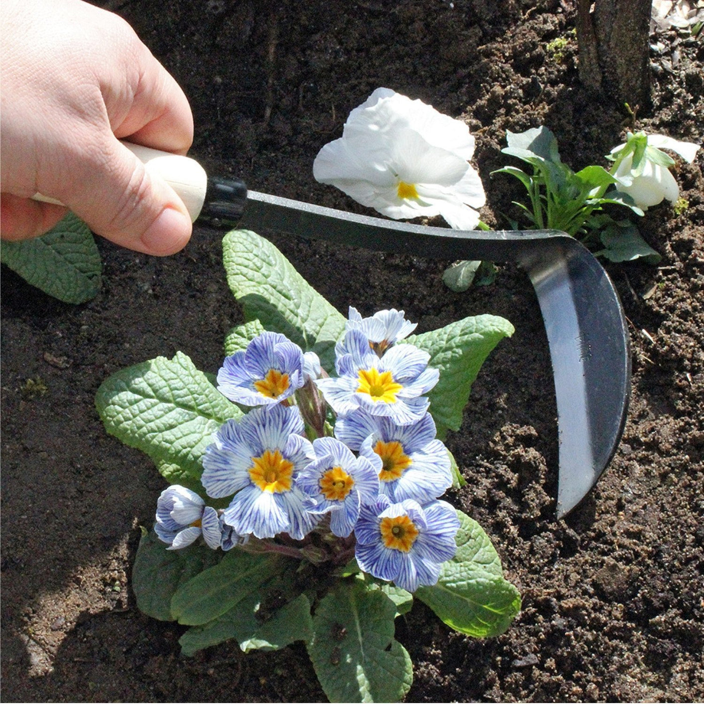Load image into Gallery viewer, BURGON & BALL Left Handed Gardening Razor Hoe