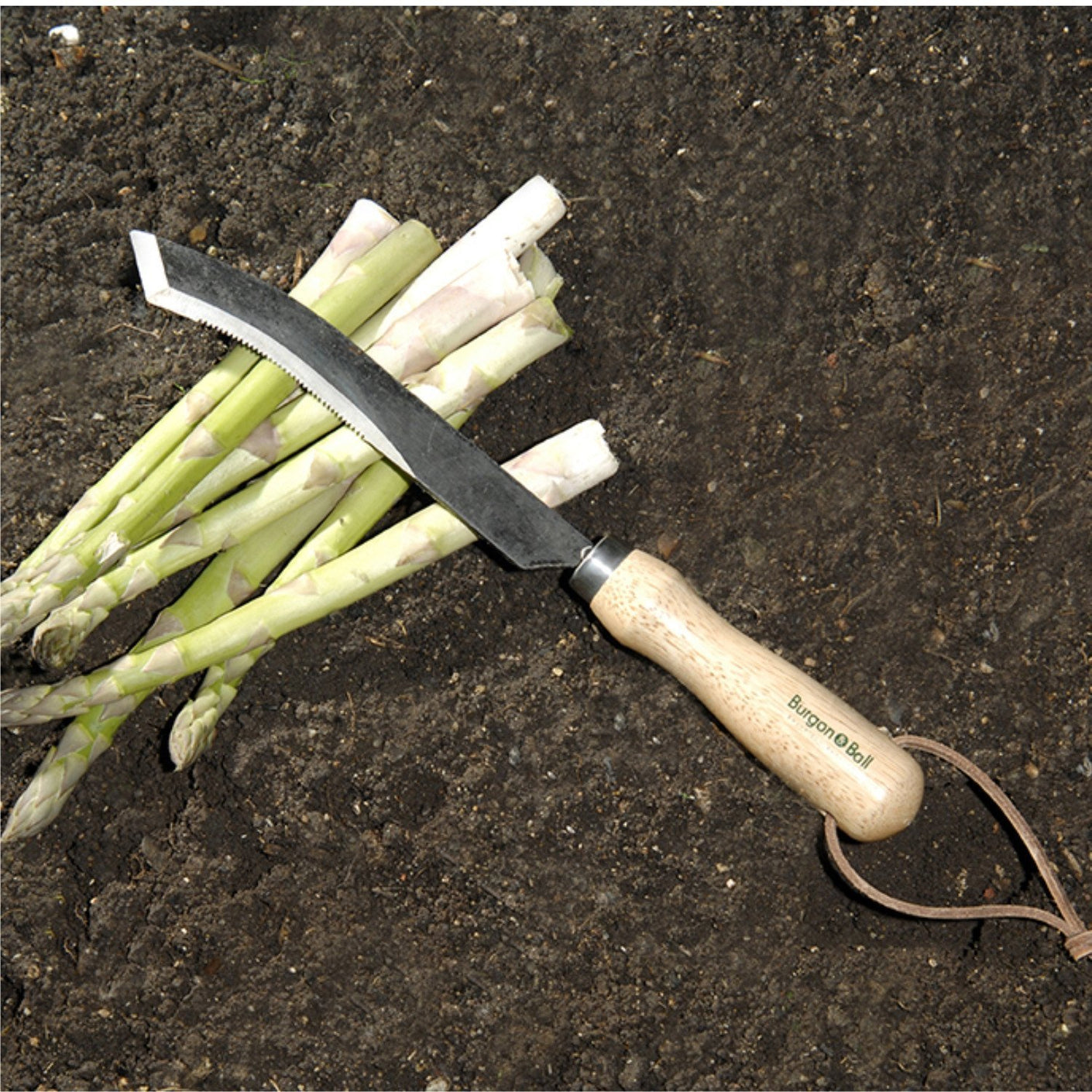 Load image into Gallery viewer, BURGON & BALL Ultimate Asparagus Knife