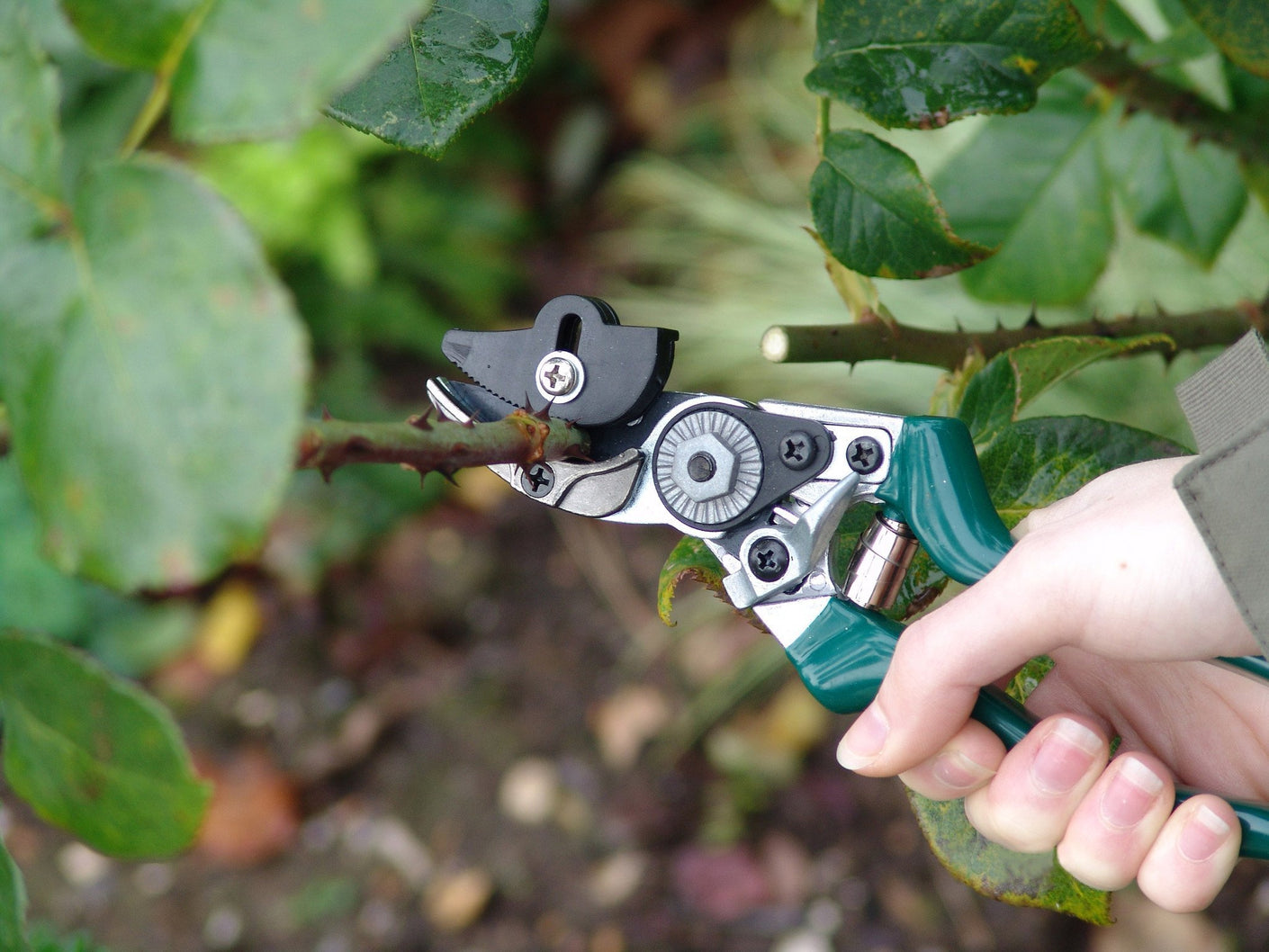 Load image into Gallery viewer, BURGON & BALL Rose Garden Pruner - Cut and Hold