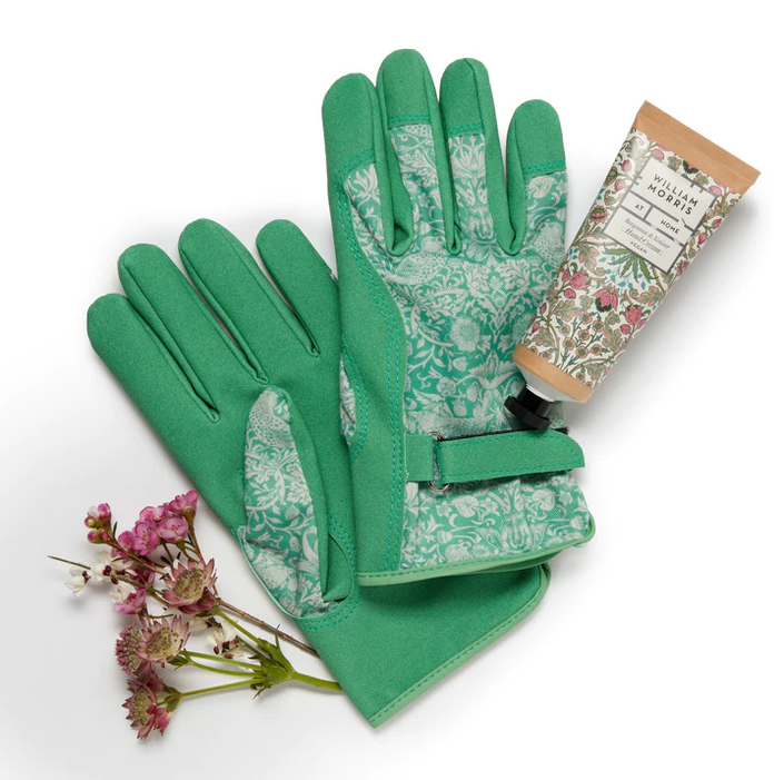 HEATHCOTE & IVORY x MORRIS & CO Golden Lily Gardening Glove & Hand Cream Set