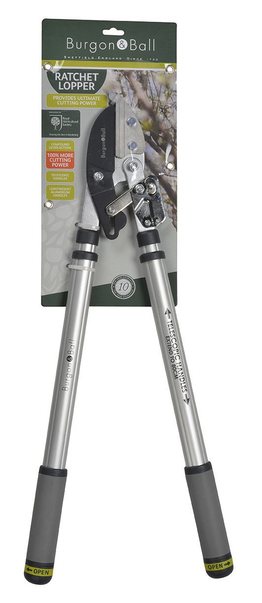Load image into Gallery viewer, BURGON & BALL Telescopic Ratchet Tree Lopper - RHS Endorsed