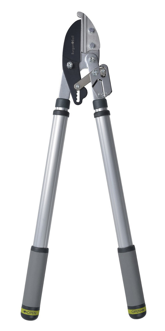 Load image into Gallery viewer, BURGON & BALL Telescopic Ratchet Tree Lopper - RHS Endorsed