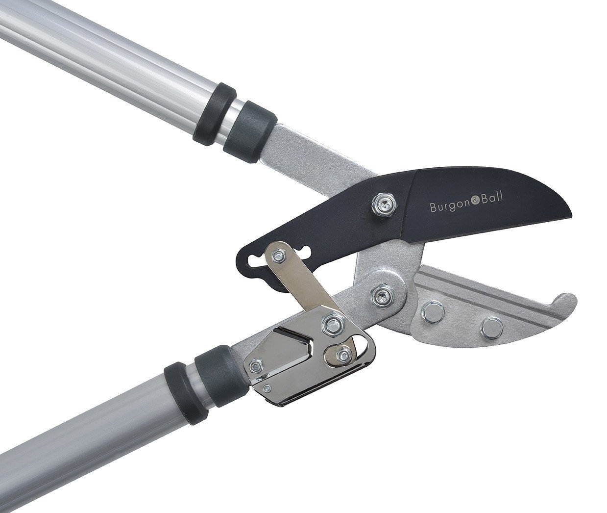 Load image into Gallery viewer, BURGON & BALL Telescopic Ratchet Tree Lopper - RHS Endorsed