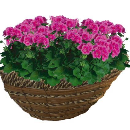 Load image into Gallery viewer, GARDMAN Sisal & Fern wall basket 40cm