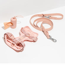 Load image into Gallery viewer, WILD ONE Dog Harness Walk Kit - Blush