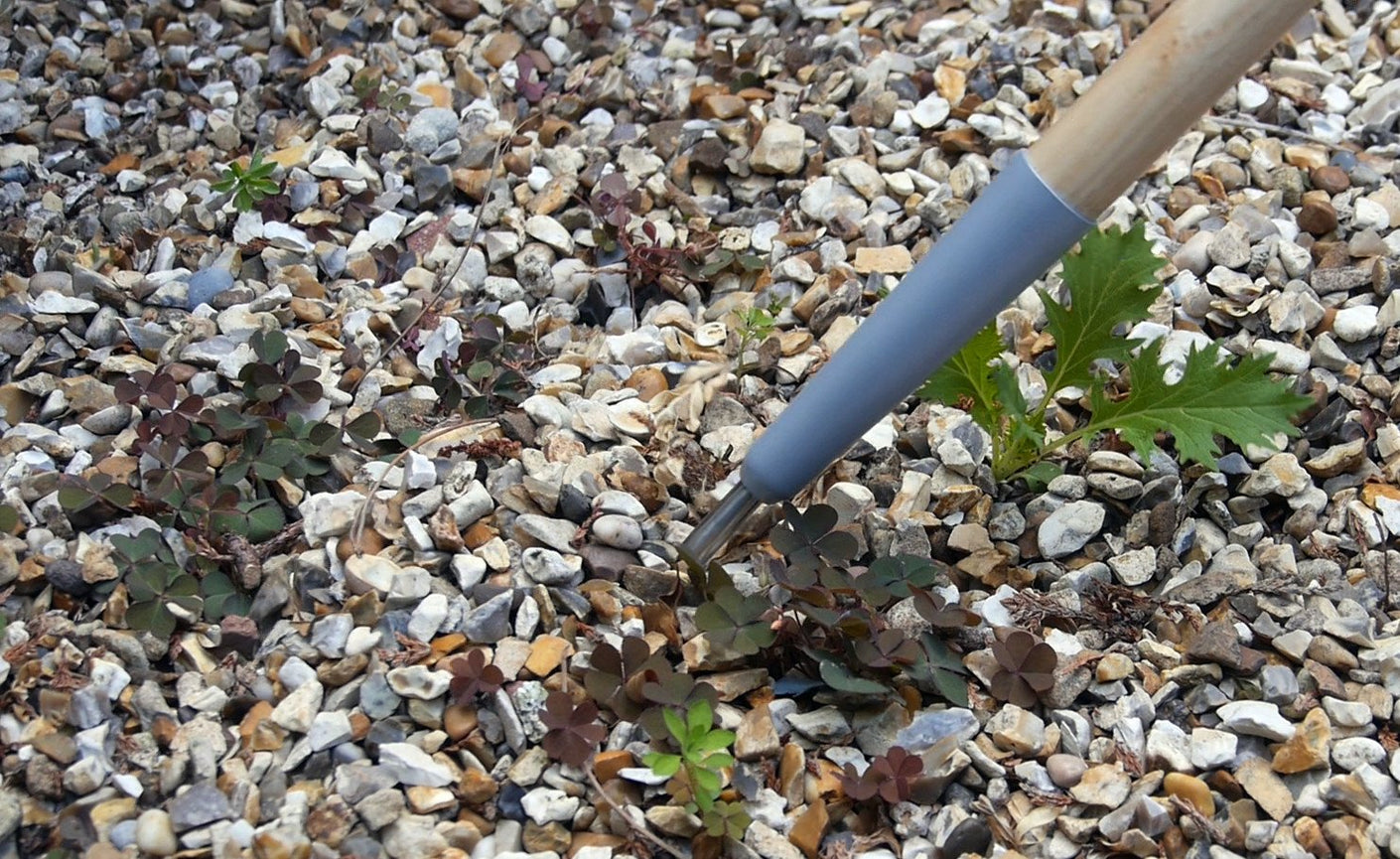 Load image into Gallery viewer, BURGON & BALL | Weed Slice - Short Handled in use