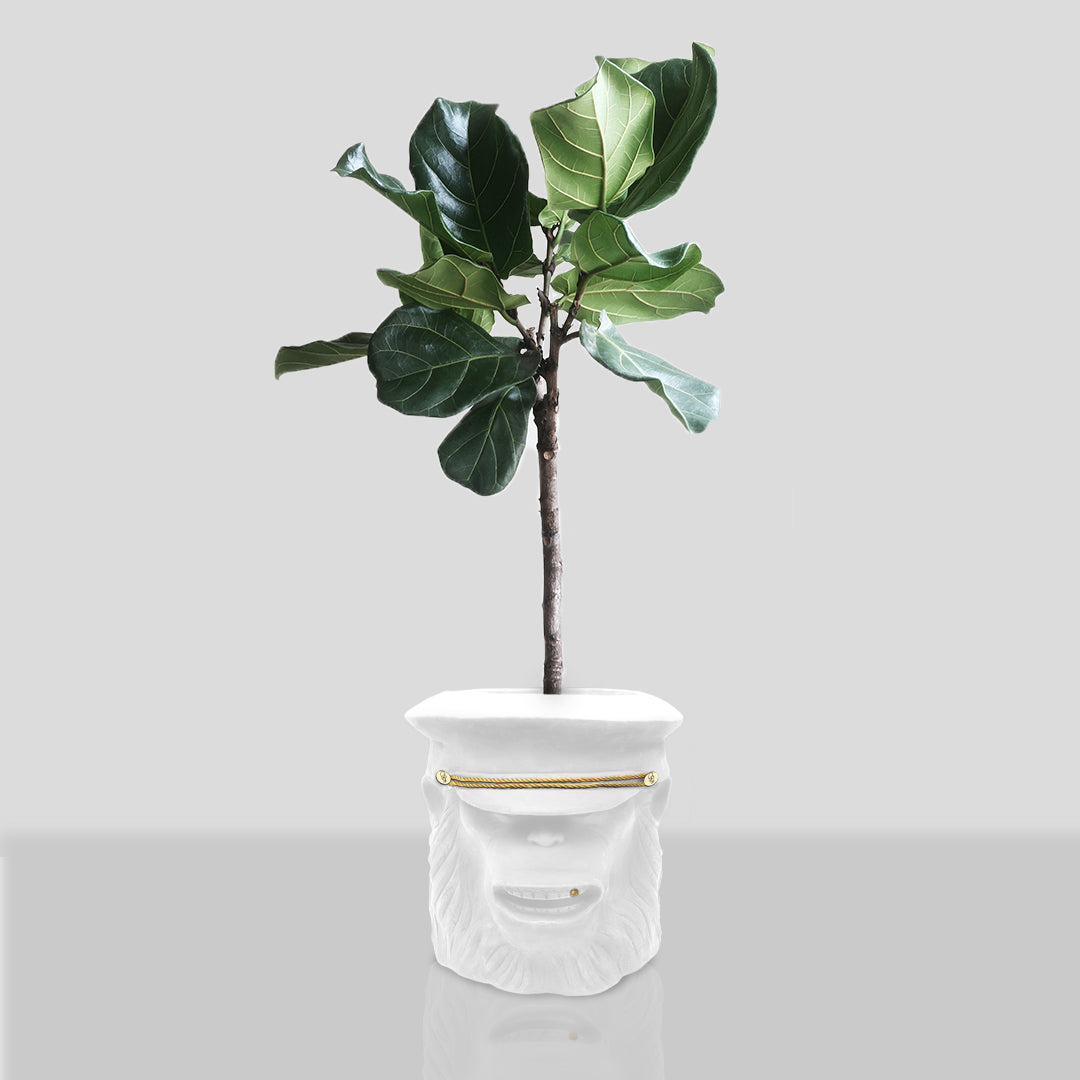 Load image into Gallery viewer, GARDEN GLORY Monkey Pot Large - White