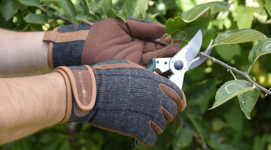 Why Gardening Gloves are Essential for Safe and Comfortable Gardening in Australia