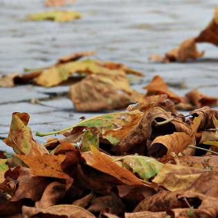 Perfect Autumn - How to get ready for the Spring