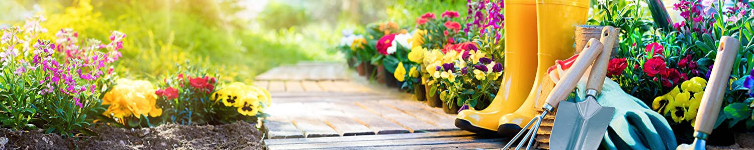 Garden Supplies: Seeds