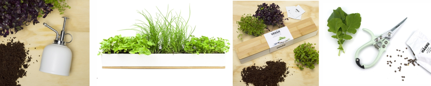 Urban Greens