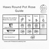 HAWS Replacement Watering Can Rose - Brass Round Fine Spray