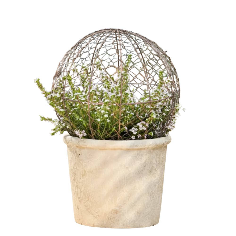 Load image into Gallery viewer, MARTHA&#39;S VINEYARD 24cm Wire Ball Topiary Medium