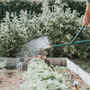 HAWS Replacement Watering Can Rose - Brass Oval Spray