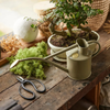 HAWS Replacement Watering Can Rose - Brass Oval Spray