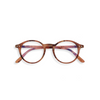 IZIPIZI Adult Reading Glasses STYLE #D
