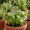 MARTHA'S VINEYARD Herb Garden Labels (Green & Cream)