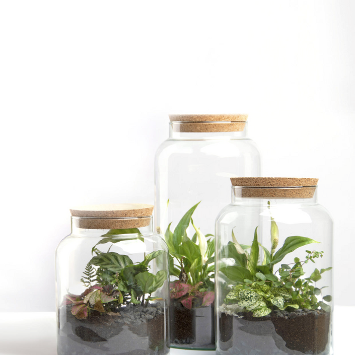 ESSCHERT DESIGN Terrarium Bottle With Lid - Small