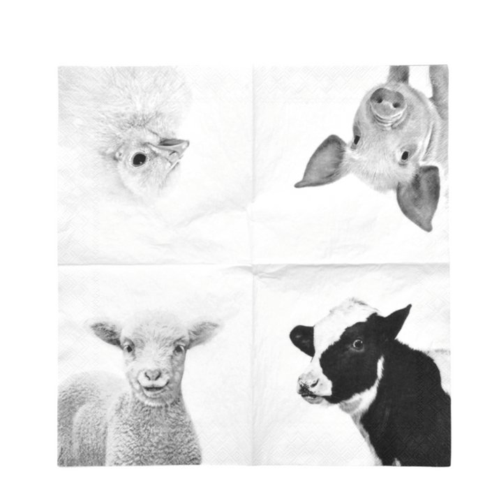 ESSCHERT DESIGN Black & White Paper Napkins Small - Farm Animals