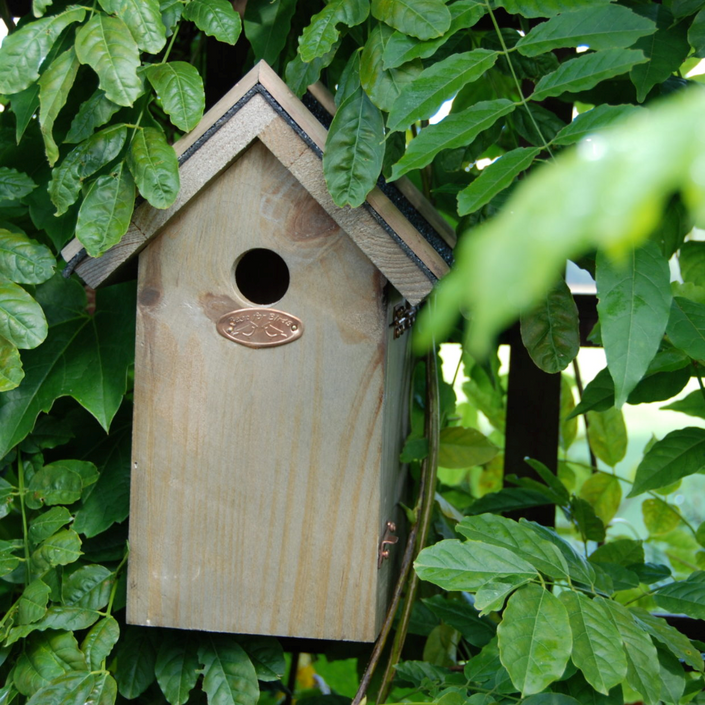 ESSCHERT DESIGN Blue Tit Nesting Box With Bitumen Roof