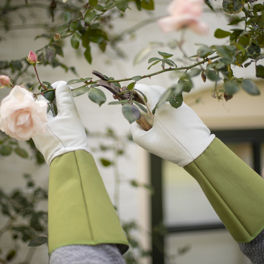 ESSCHERT DESIGN Garden Gloves w/ Gauntlet - Large