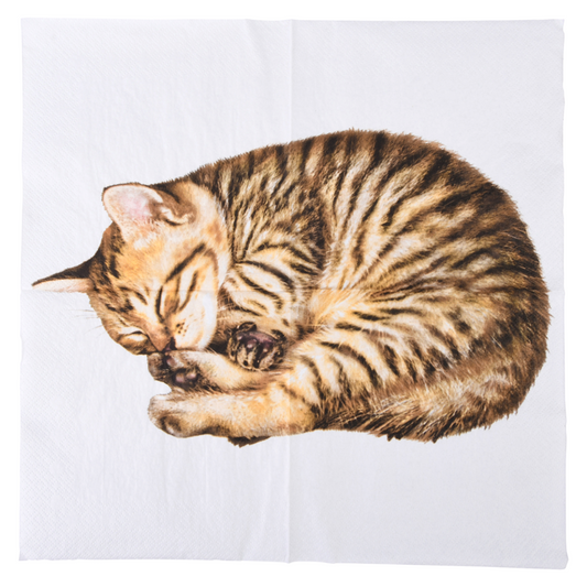 ESSCHERT DESIGN Paper Napkins Large 20pk - Cat
