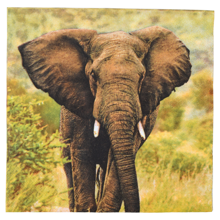 ESSCHERT DESIGN Paper Napkins 20pk - Elephant