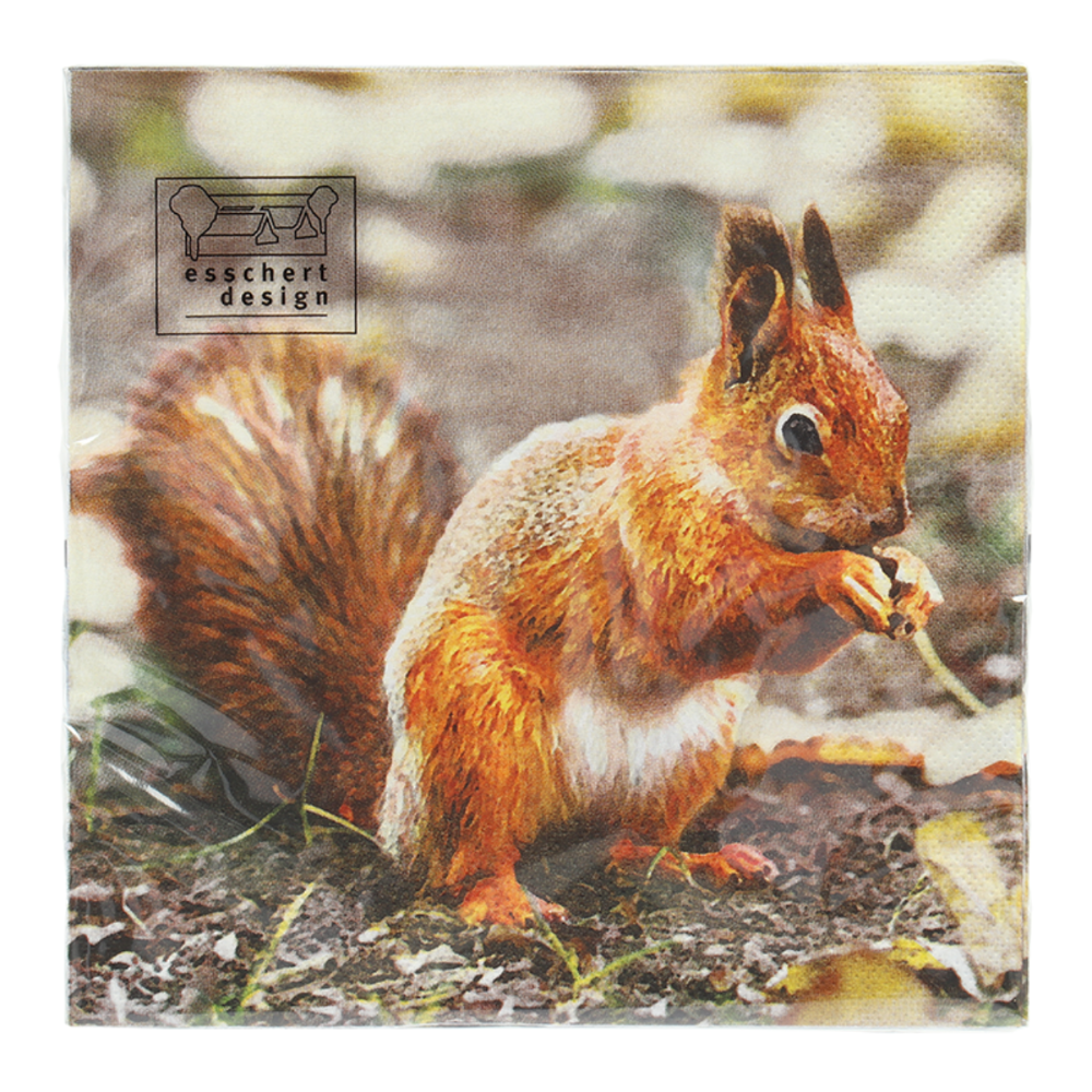 Load image into Gallery viewer, ESSCHERT DESIGN Paper Napkins 20pk - Robin/Squirrel