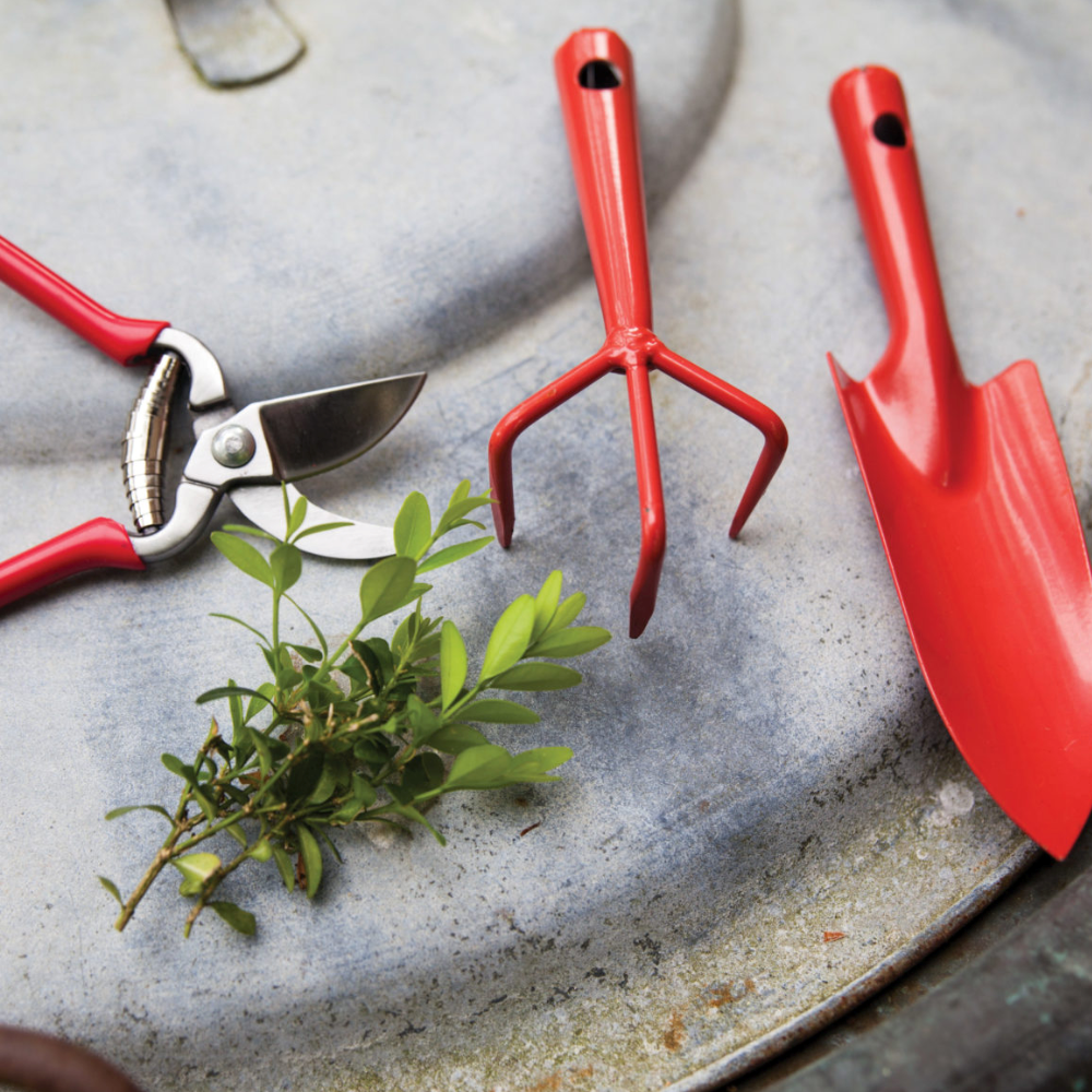 ESSCHERT DESIGN Iron Gardening Set - Small
