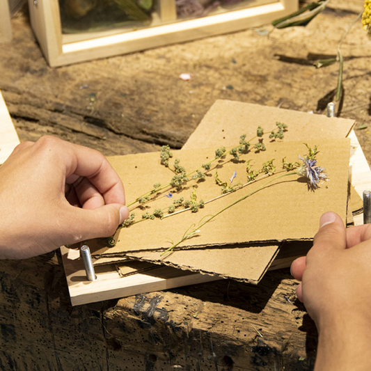ESSCHERT DESIGN Flowers & Herbs Press