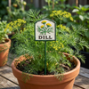 MARTHA'S VINEYARD Herb Garden Labels (Green & Cream)