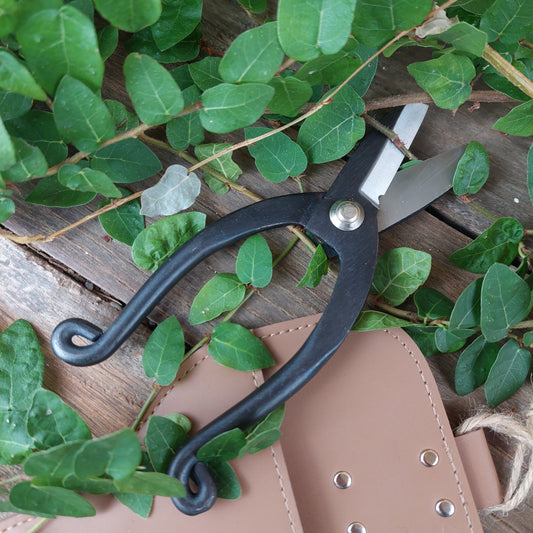 MARTHA'S VINEYARD Florist Shear