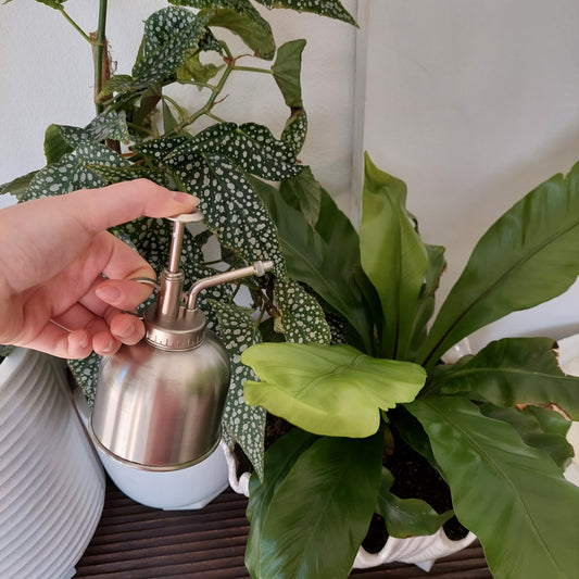 MARTHA'S VINEYARD Plant Mister - Stainless Steel