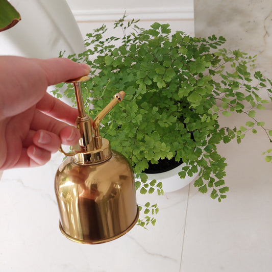 MARTHA'S VINEYARD Plant Mister - Brushed Brass