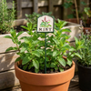 MARTHA'S VINEYARD Herb Garden Labels (Green & Cream)