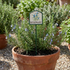 MARTHA'S VINEYARD Herb Garden Labels (Green & Cream)