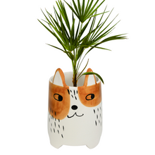 Load image into Gallery viewer, ANNABEL TRENDS Planter - Buddy Brown