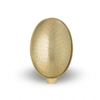 HAWS Replacement Watering Can Rose - Brass Oval Spray