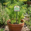 MARTHA'S VINEYARD Herb Garden Labels (Green & Cream)