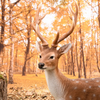 ESSCHERT DESIGN Standing Sika Deer Statue - Large