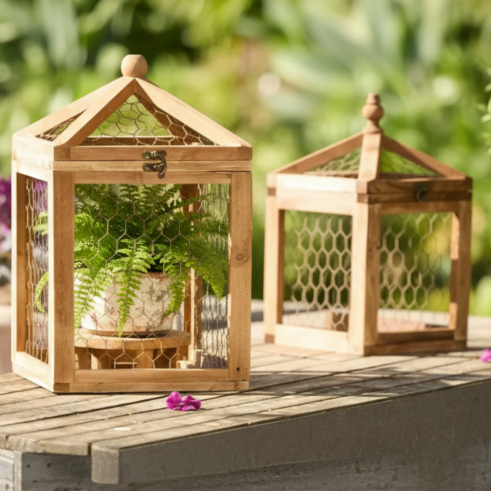 Load image into Gallery viewer, MARTHA&#39;S VINEYARD 30cm Wooden Cloche Natural S/2