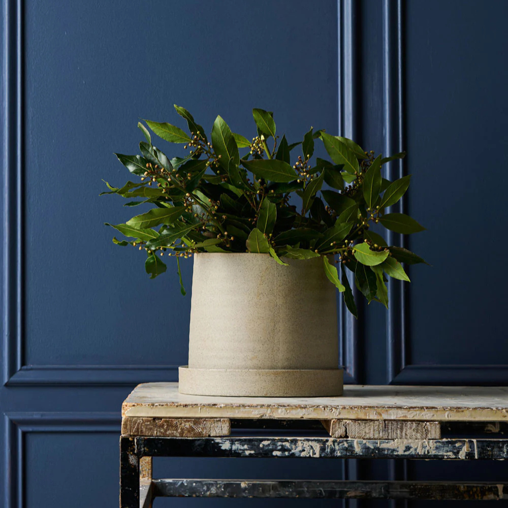 Load image into Gallery viewer, ROBERT GORDON Garden to Table Planter Pot - White