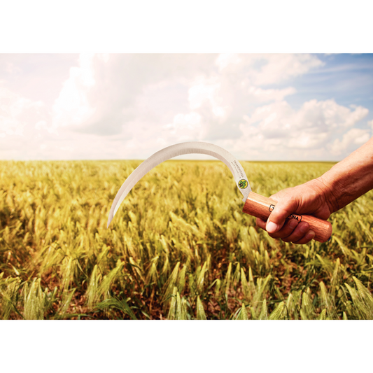 TRAMONTINA Steel Grass Hook with Serrated Teeth and Wood Handle - 315 x 230mm