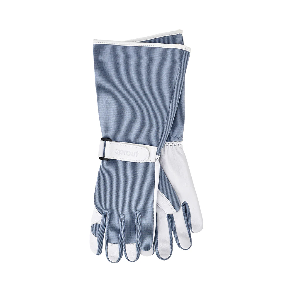 ANNABEL TRENDS Sprout Ladies' Long Sleeve Gloves - Dusty Blue